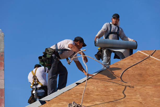Best Roof Gutter Cleaning  in South Wilton, CT
